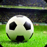 99228040:COM-WWW:99228040:COM